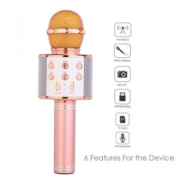 WS-858 KARAOKE MİKROFON